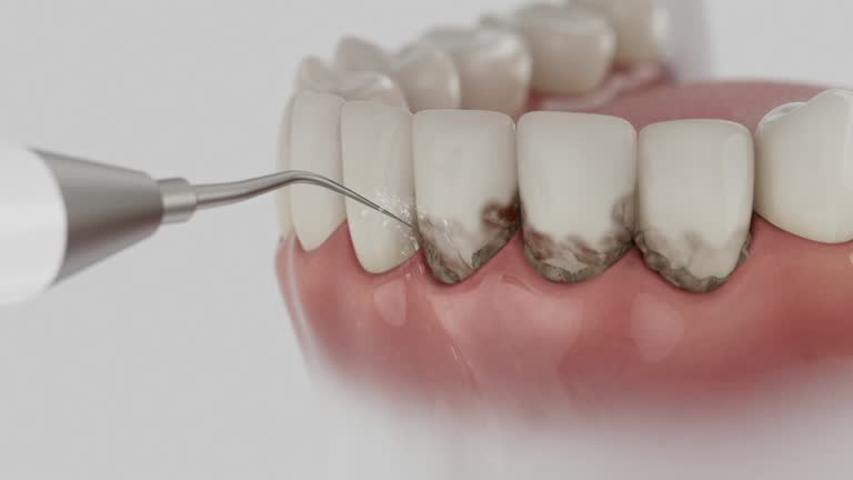 Reliable Dental contractor in Bellville, TX by Dentist Open Now